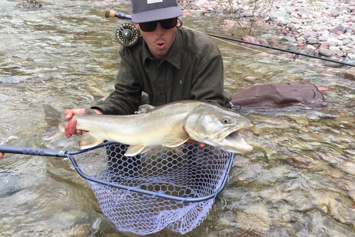 South Fork of the Flathead River Montana Fly Fishing Experience