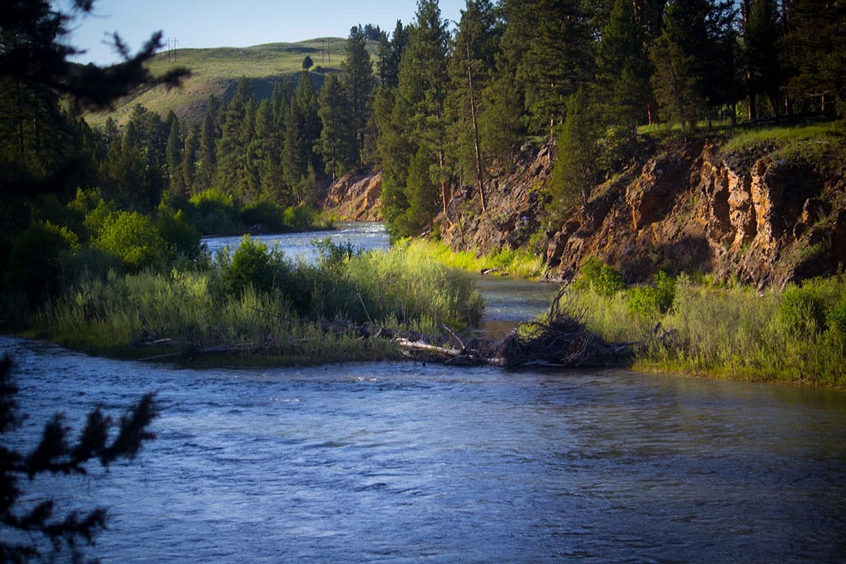 Blackfoot River, MT - Montana Fly Fishing Experience