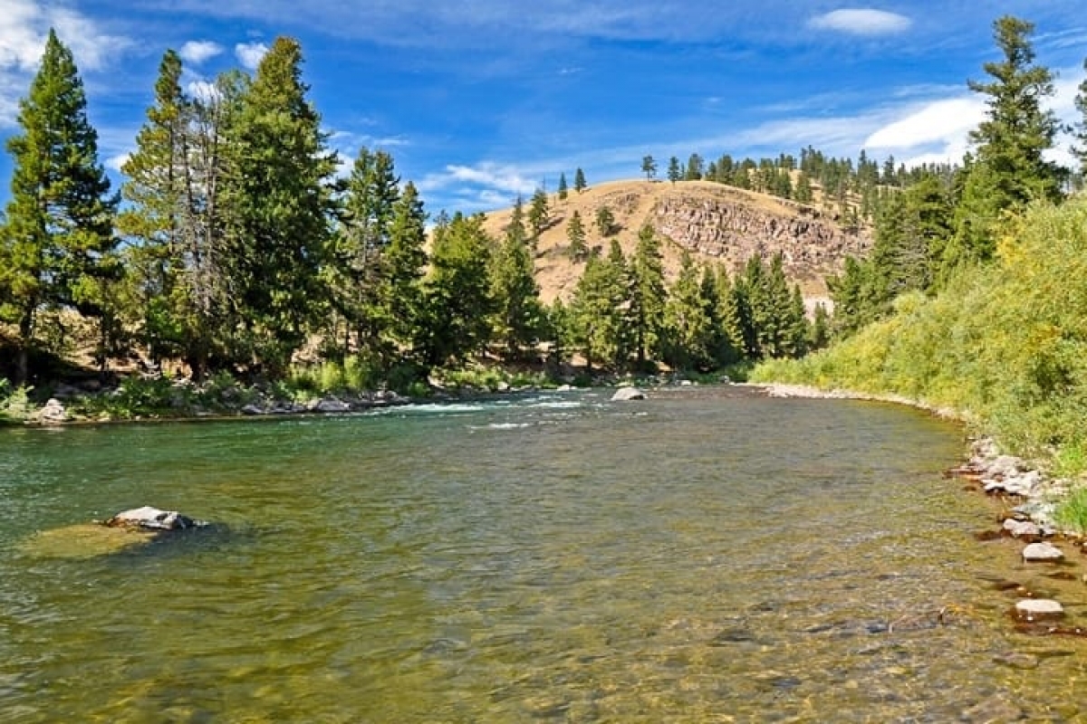 Blackfoot River, MT - Montana Fly Fishing Experience