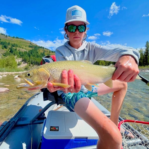 Montana fly fishing trout